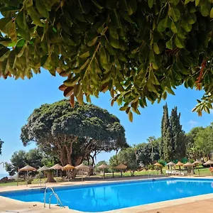 Lemon Tree , Benalmadena Spain